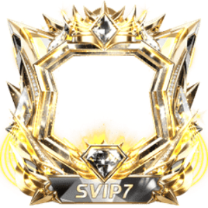 Frame Dynamic Svip7