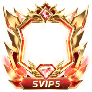 Frame Dynamic Svip5