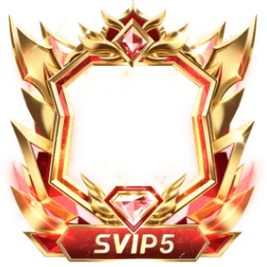 Frame Dynamic Svip5