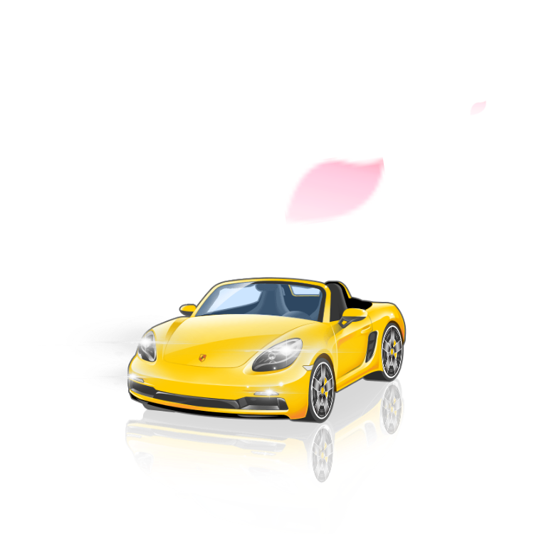 Supercar Porsche Turbo Arrival
