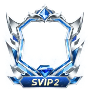 Frame Dynamic Svip2