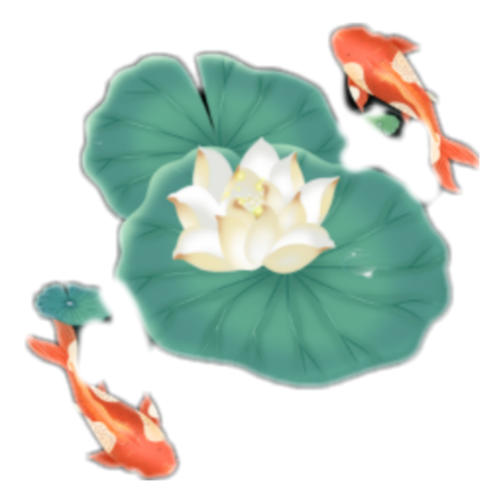Koi Lotus Pond