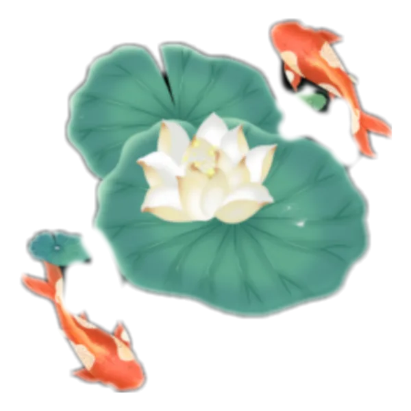 Koi Lotus Pond