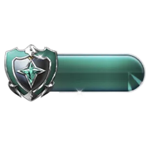 Tag Level 30 Fungo