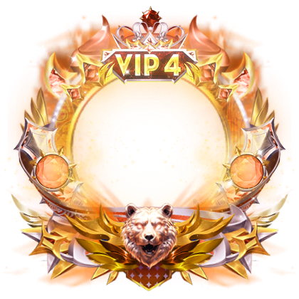 VIP 4 Frame