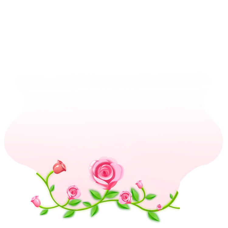 Blooming Royal Velvet Rose