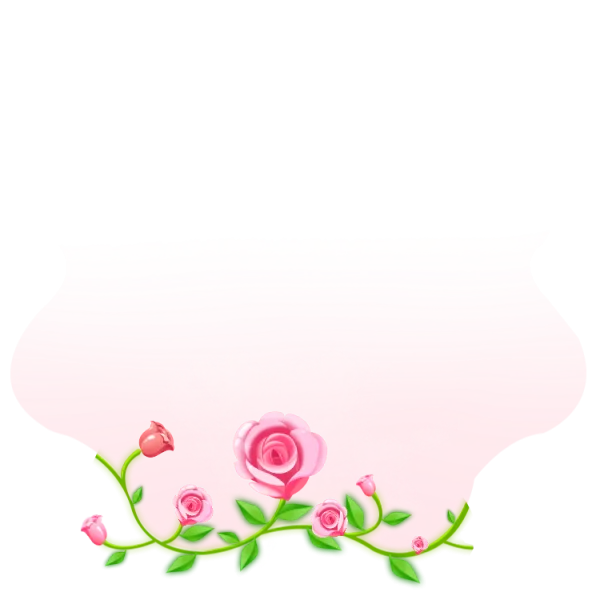 Blooming Royal Velvet Rose