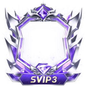 Frame Dynamic Svip3