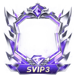 Frame Dynamic Svip3