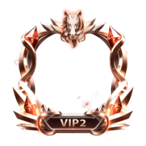 VIP 3 Frame