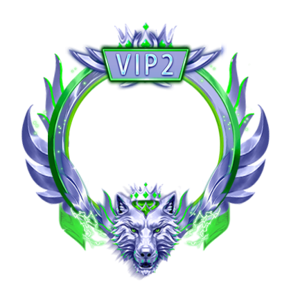 VIP 2 Frame V2