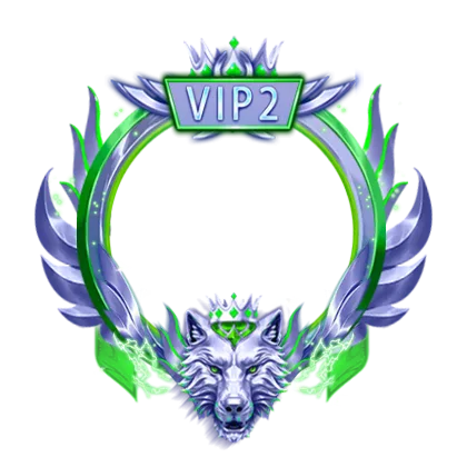 VIP 2 Frame V2