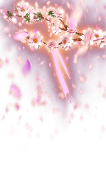 Gift Gif 89