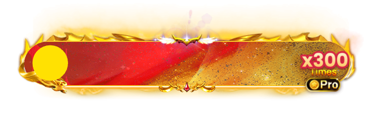 X300 banner