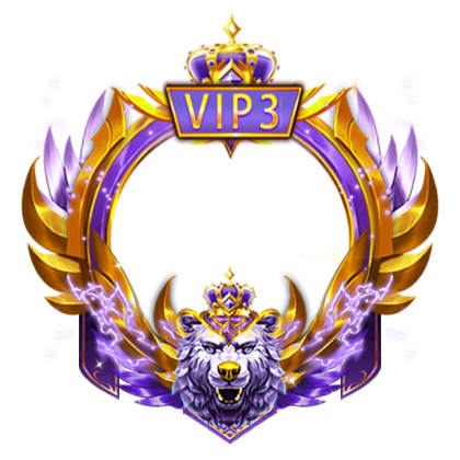 VIP 3 Frame