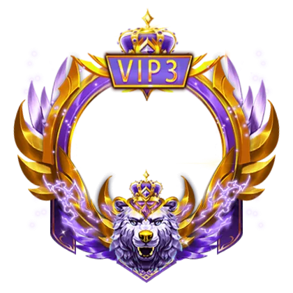 VIP 3 Frame