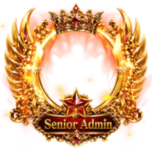 Senior Admin