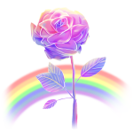 Rainbow Rose