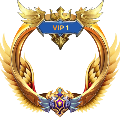 VIP 1 Frame