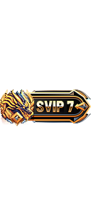 SVIP  7  Tag