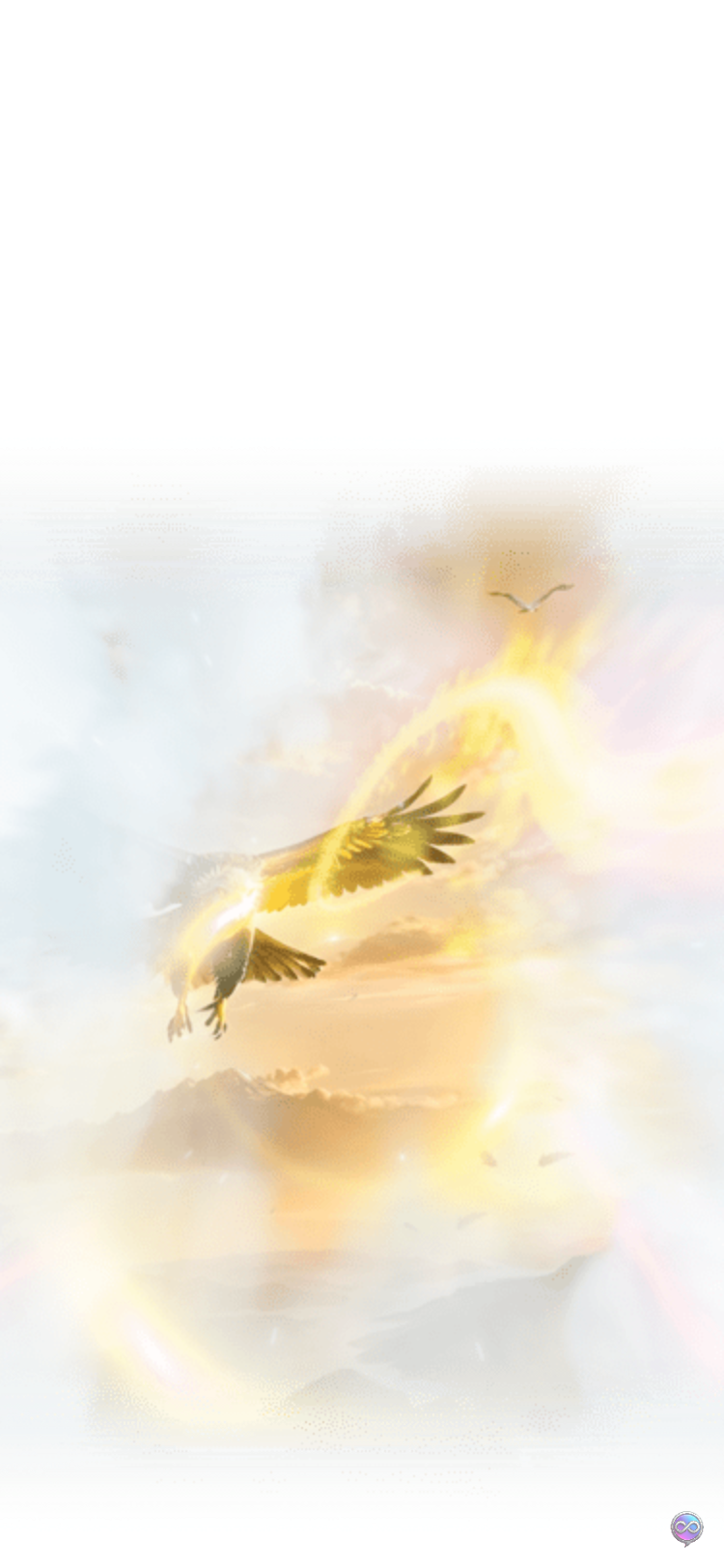 Majestic Soaring Falcon Hawk Gift