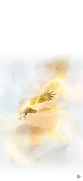 Majestic Soaring Falcon Hawk Gift