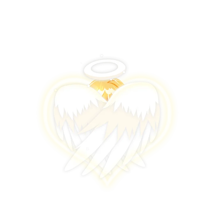 Angel Halo Wings Effect