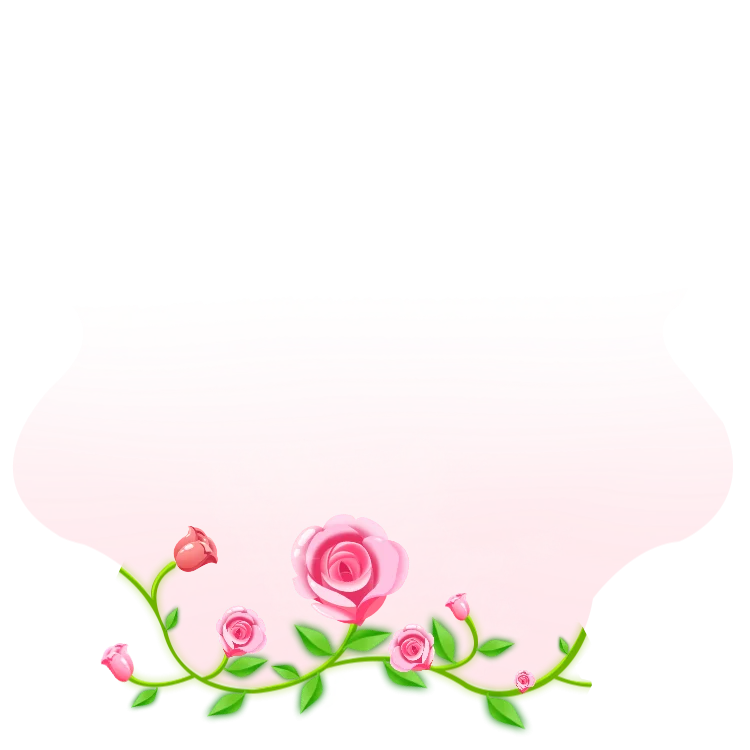Blooming Royal Velvet Rose