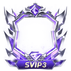Frame Dynamic Svip3
