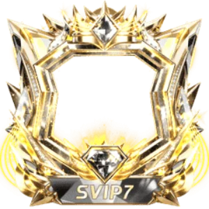 Frame Dynamic Svip7