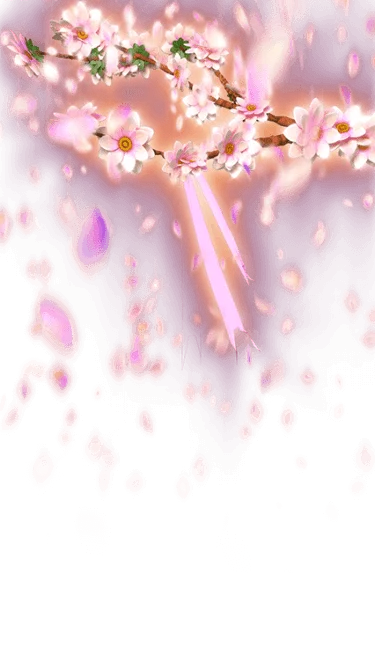 Gift Gif 89