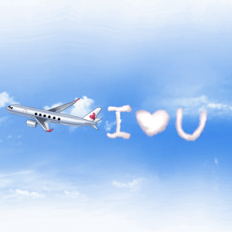 Luxury Private Jet Gift