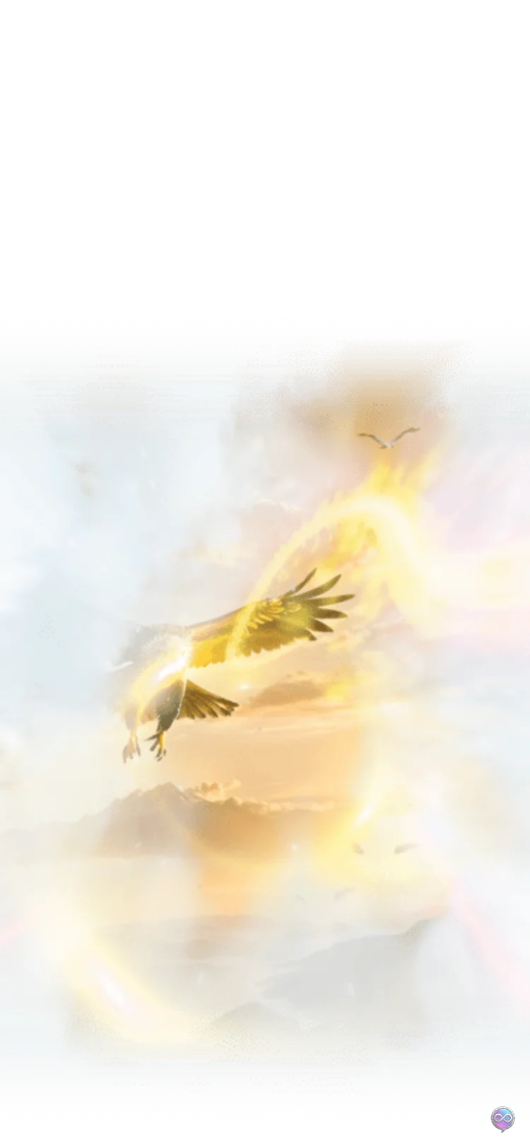 Majestic Soaring Falcon Hawk Gift
