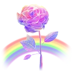 Rainbow Rose