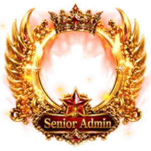 Senior Admin