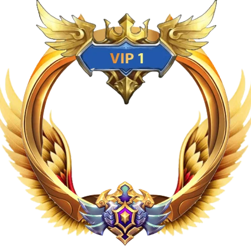 VIP 1 Frame