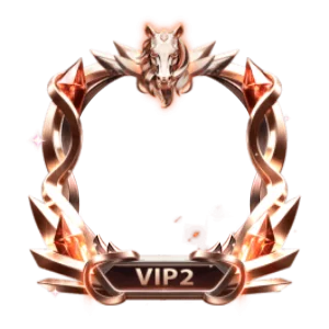 VIP 3 Frame