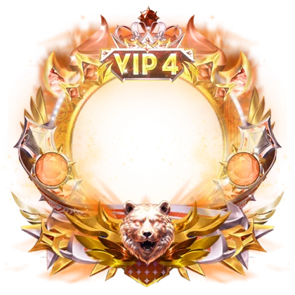 VIP 4 Frame