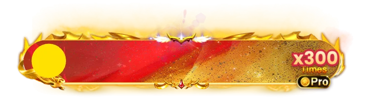 X300 banner